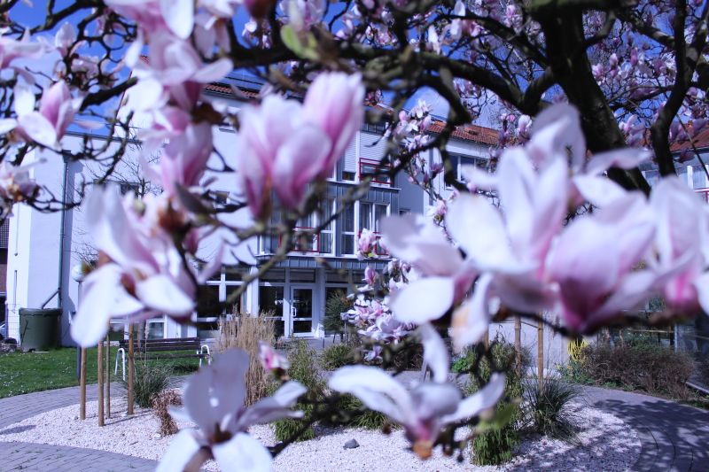 Stationäres Altenheim Haus am Ginsterweg, Evangelisches Johanneswerk in Castrop-Rauxel