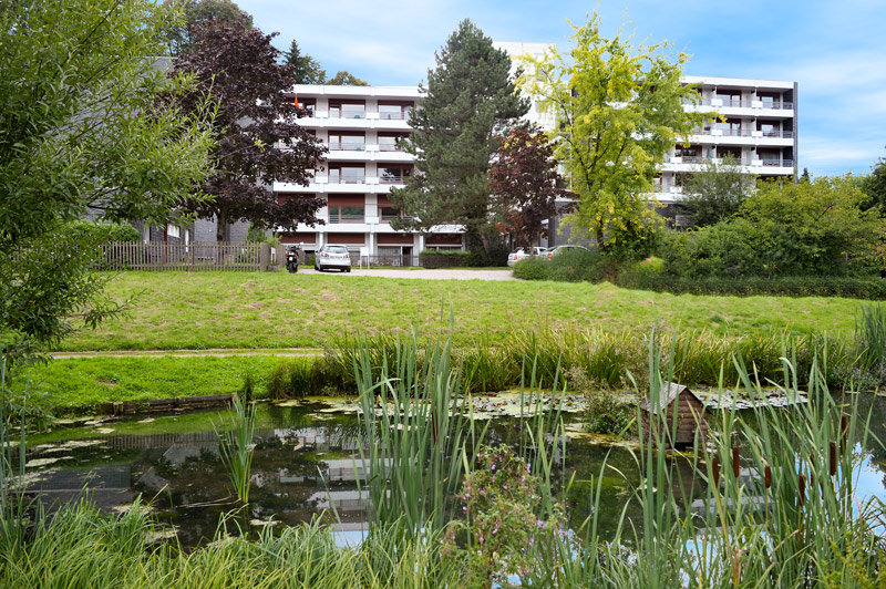 Ein großes Gebäude mit einem See im Vordergrund