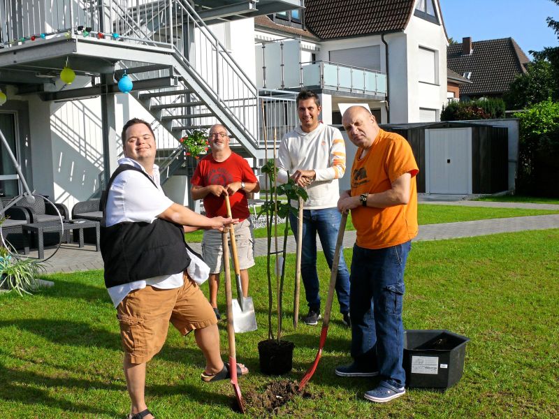 Vier Männern mit Schaufeln in der Hand pflanzen einen Baum