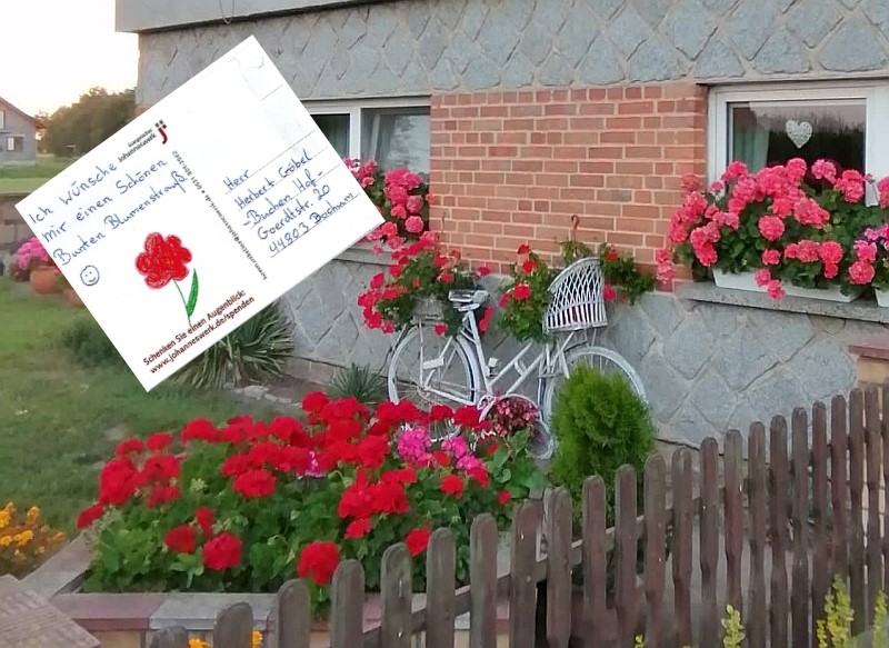 Garten mit vielen roten Geranien und einem Haus mit weißem Fahrrad davor im Hintergrund, Wunschkarte von Herbert Göbel mit der Aufschrift "Ich wünsche mir frische Blumen für mein Zimmer" und einer gemalten roten Blume im Vordergrund