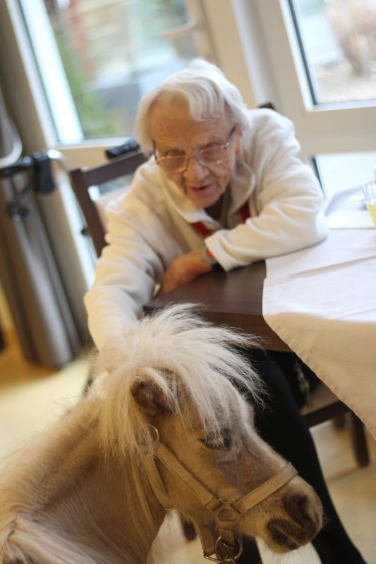 Eine ältere Dame sitzt an einem Tisch und streichelt ein Pony