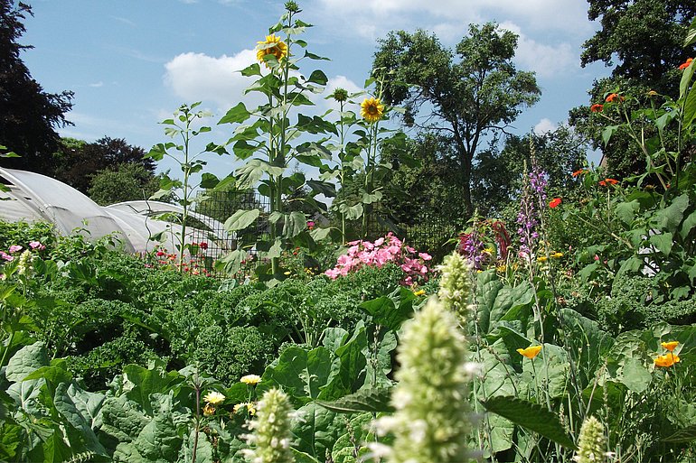 Garten vom Bodelschwingh-Haus