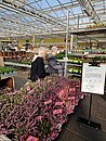Ausflug ins Gartencenter Brockmeyer. Die Gäste erfreuten sich an den viele frischen Frühlingsblumen. 