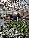 Ausflug ins Gartencenter Brockmeyer. Die Gäste erfreuten sich an den viele frischen Frühlingsblumen. 