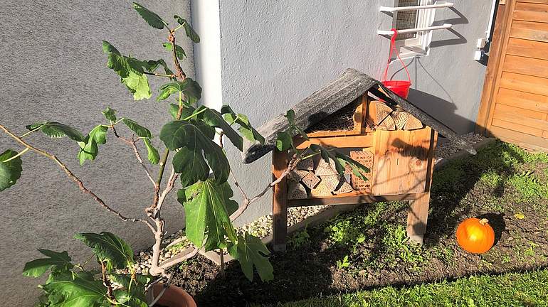 Ein Insektenhotel steht neben einer Grünpflanze