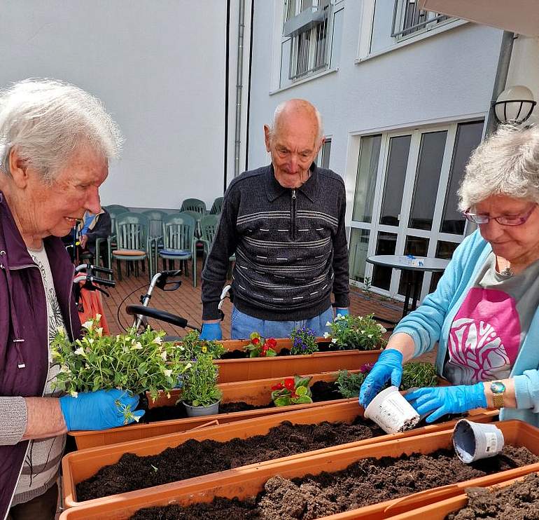 Drei Senior*innen bepflanzen Blumenkästen für den Wohnbereich Drei Senior*innen bepflanzen Blumenkästen für den Wohnbereich