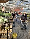 Ausflug ins Gartencenter Brockmeyer. Die Gäste erfreuten sich an den viele frischen Frühlingsblumen. 