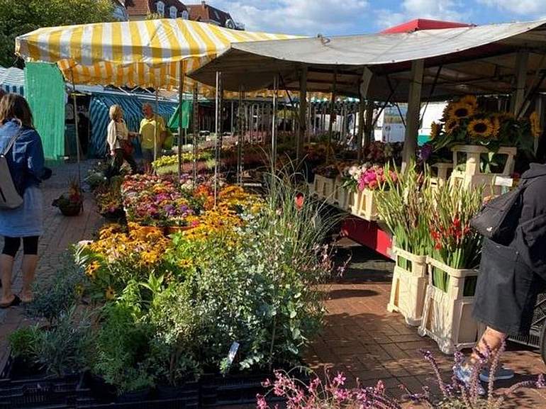 Wochenmarkt am Siegfriedplatz Marktstände