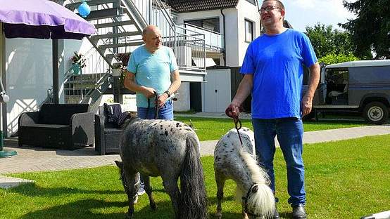 Zwei Männer, die zwei kleine Mini-Shettys am Strick halten und Grasen lassen